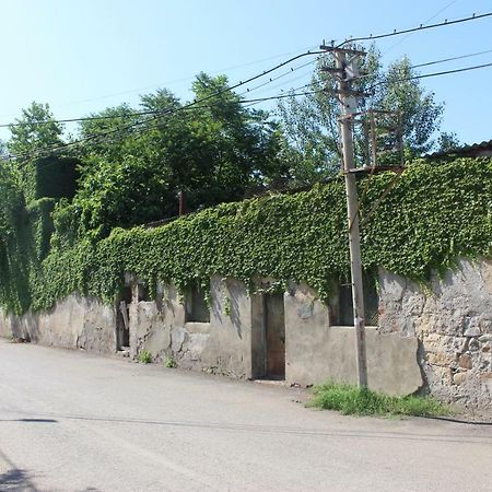 Hotel Zarzma à Koutaïssi Extérieur photo