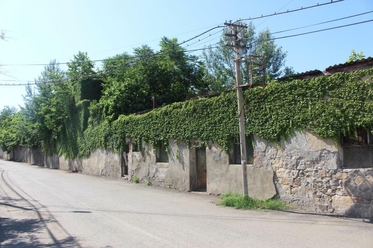 Hotel Zarzma à Koutaïssi Extérieur photo