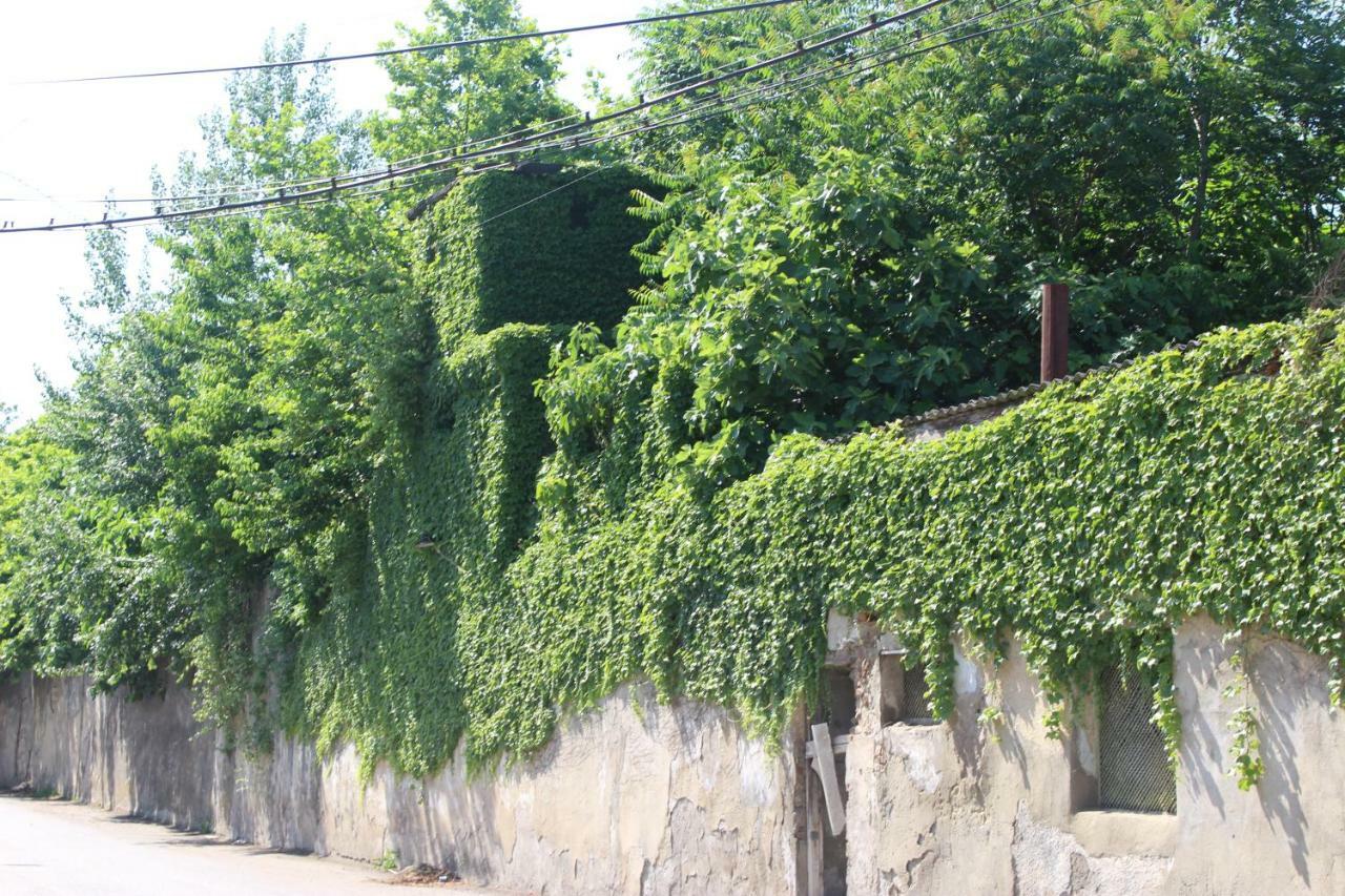 Hotel Zarzma à Koutaïssi Extérieur photo
